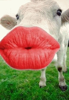 bisou